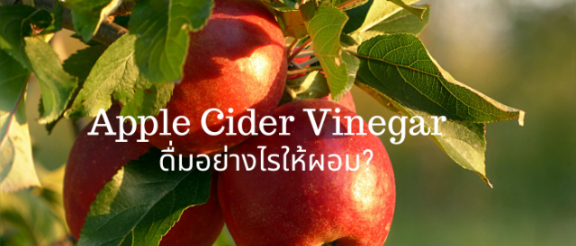 Apple Cider Vinegar ดื่มอย่างไรให้ผอม?